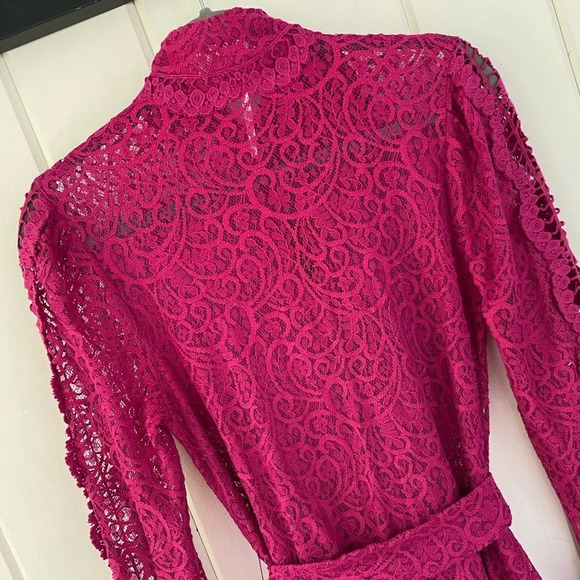 Free People, Dreams of You Lace Long Sleeve Mini Dress, Raspberry, Magenta, Pink - Picture 5 of 7